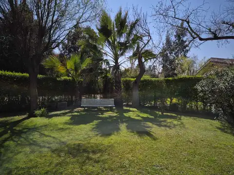 Las Olimpiadas 600