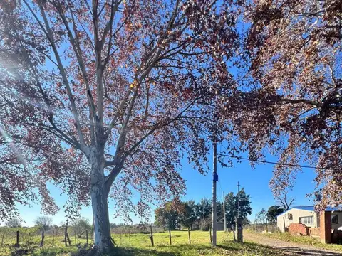 Terreno en Venta de 52660,0 m2