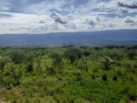 Camino a la Gloria