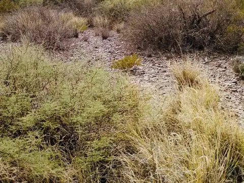 Terreno en Venta de 2000,0 m2