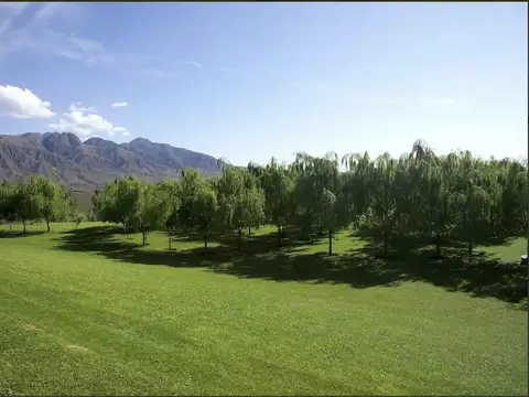 Campo en Lujan de Cuyo - Provincia de Mendoza
