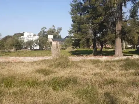 Matacos al 300