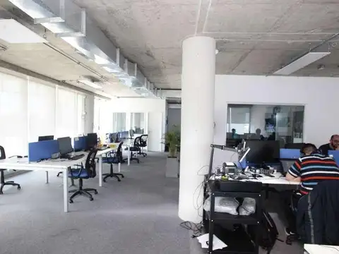 Bonpland 1281 7° 702