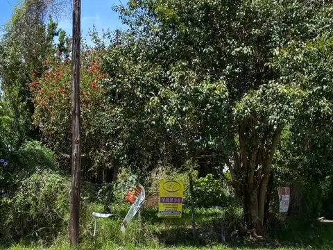 Saavedra 802