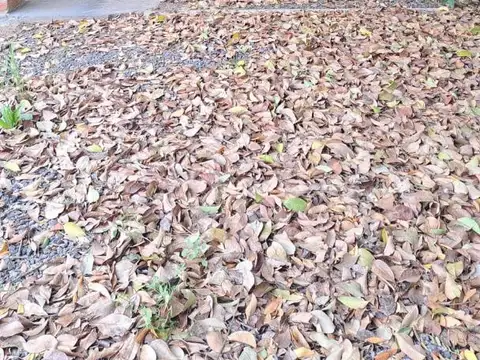 Casa en Alquiler 20 años