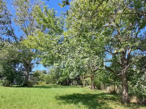 Terreno en Venta 20  mts Frente