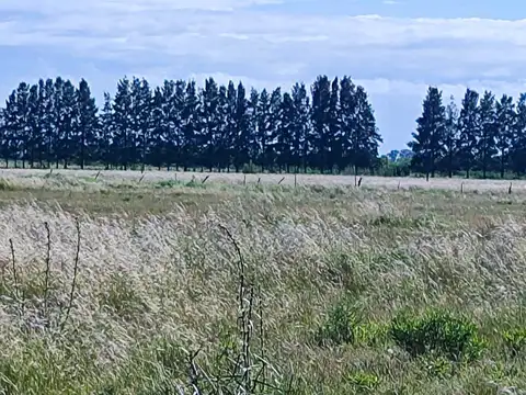 Hermosa Fracion en Ruta 6 Marcos Paz