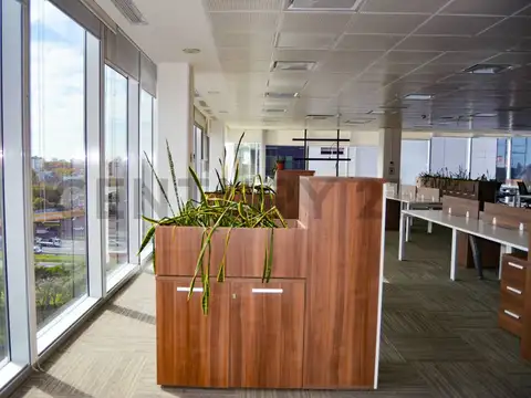 Oficina en Alquiler en Florida, USD 10.912