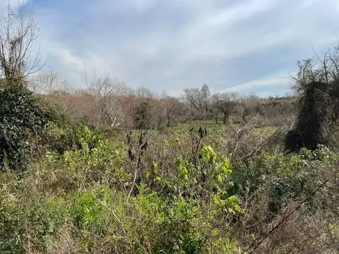 Terreno en Venta en Villa Dominico, USD 750.000