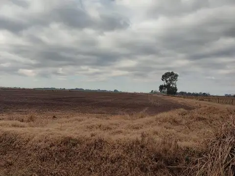 Ruta Provincial 3 46