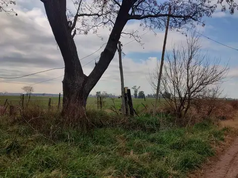 Campo de 430 Has en Marcos Paz / La Matanza – Con Mejoras