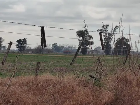 Campo de 430 Has en Marcos Paz / La Matanza – Con Mejoras