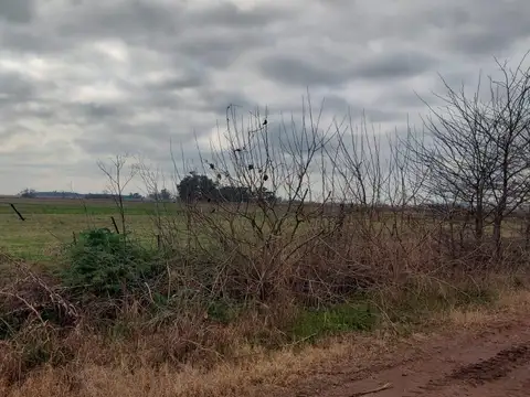 Ruta Provincial 3 46