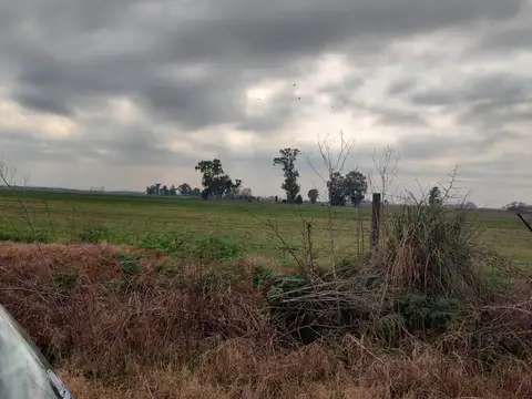 Campo de 430 Has en Marcos Paz / La Matanza – Con Mejoras
