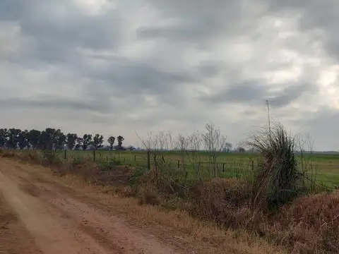 Ruta Provincial 3 46