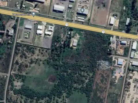 RN 19