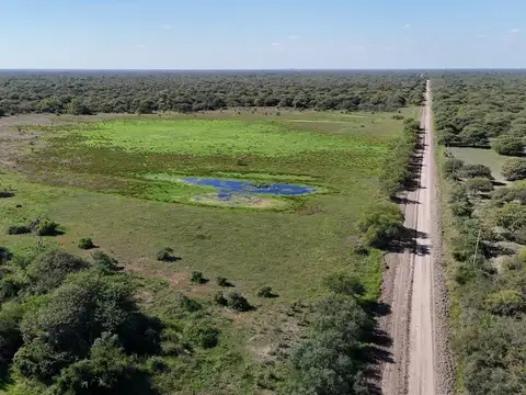 Campo en Venta Ganadero