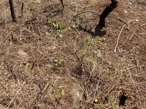 VENTA LOTE DE 529M2 EN EMBALSE CON ESCRITURA