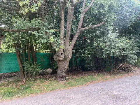 Terreno en Villa Elisa