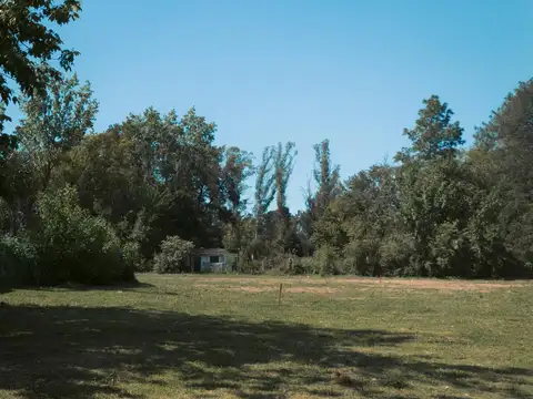 Terreno en Venta 31  mts Fondo