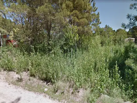 Terreno en Venta 40  mts Fondo