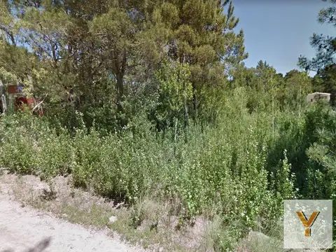 Terreno en Venta 40  mts Fondo