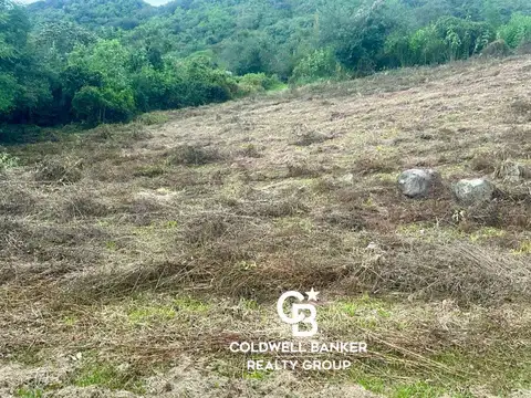 La Hoyada Castellanos