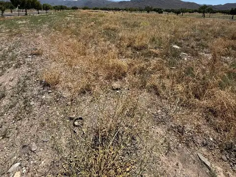 Terreno en Venta en Mendoza, USD 85.000