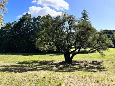 Yapeyu y Ruta 26