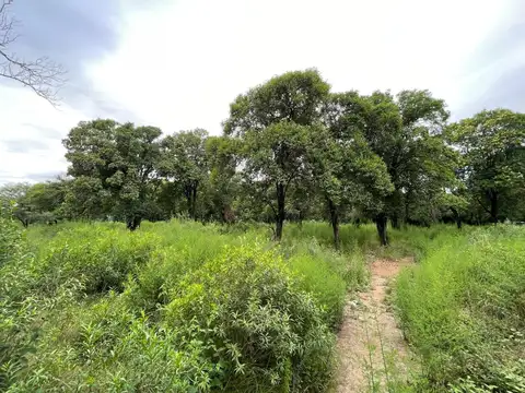 Terreno en Venta de 1763,0 m2