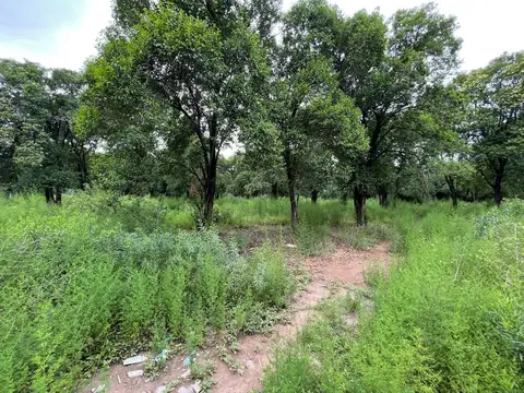 LOTE | 2 CONTIGUOS | UNQUILLO