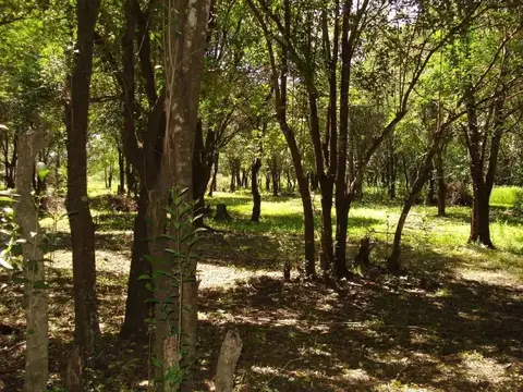 Cjal. Sergio Bossio S/n