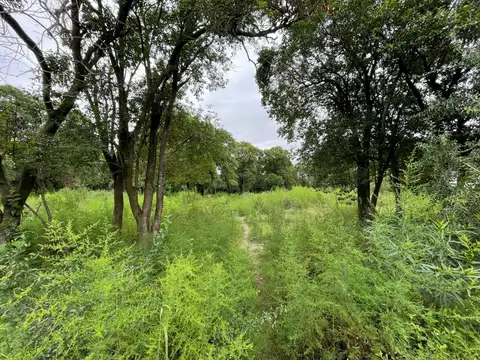 LOTE | 2 CONTIGUOS | UNQUILLO