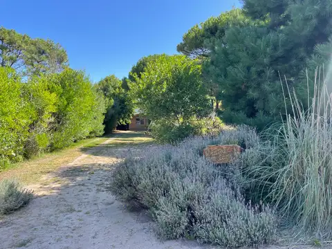 41 entre playa y mar azul