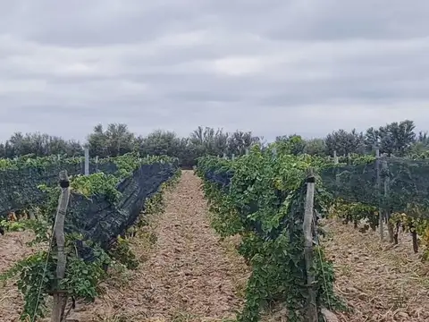 Terreno en Venta en La Dormida, USD 170.000