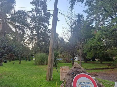 Santa Teresa De Jesus 2450