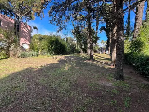 PEDRO DE MENDOZA 800