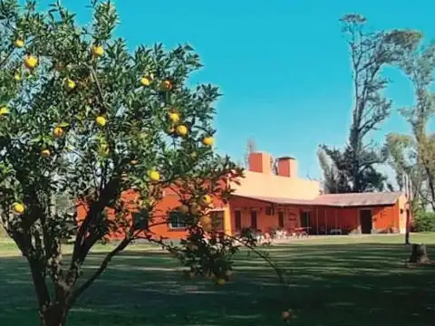 Terreno en Venta de 3990,0 m2