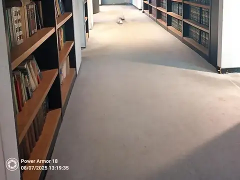 OFICINA Vigilancia 24hs TERRAZA centro