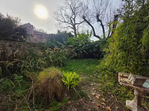 Tacuarí 400
