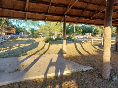 Haras El Terraplen S/n