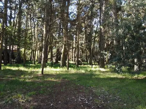 Terreno - Venta - Argentina, Mar de las Pampas