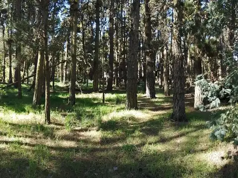 Av. Del Lucero entre Mansilla y Juan De Garay 100