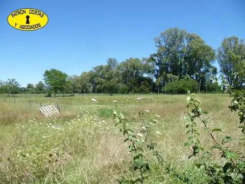 1674HP- 12 HA CASA GALPÓN PARA HABILITACIÓN CRIADERO