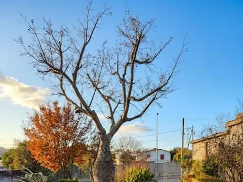 Casa en Venta 34 años