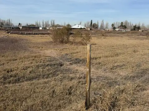 Finca de 24 has en venta en Las Heras, Mendoza