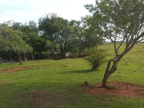 Campo en Venta de 214  ha