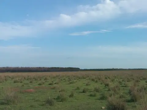 Ruta 37 Km 13 1000