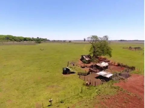 Campo Se Vende, De 214 Has. Zona Gdor. Virasoro - Corrientes