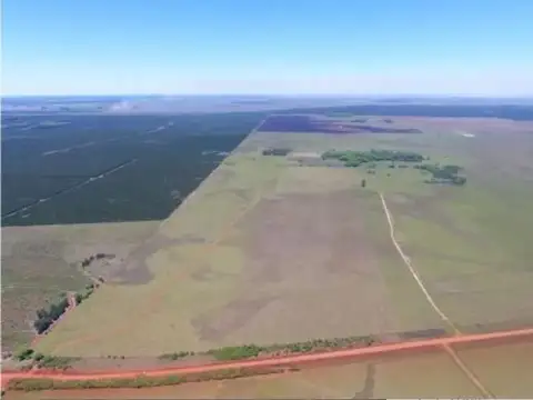 Ruta 37 Km 13 1000
